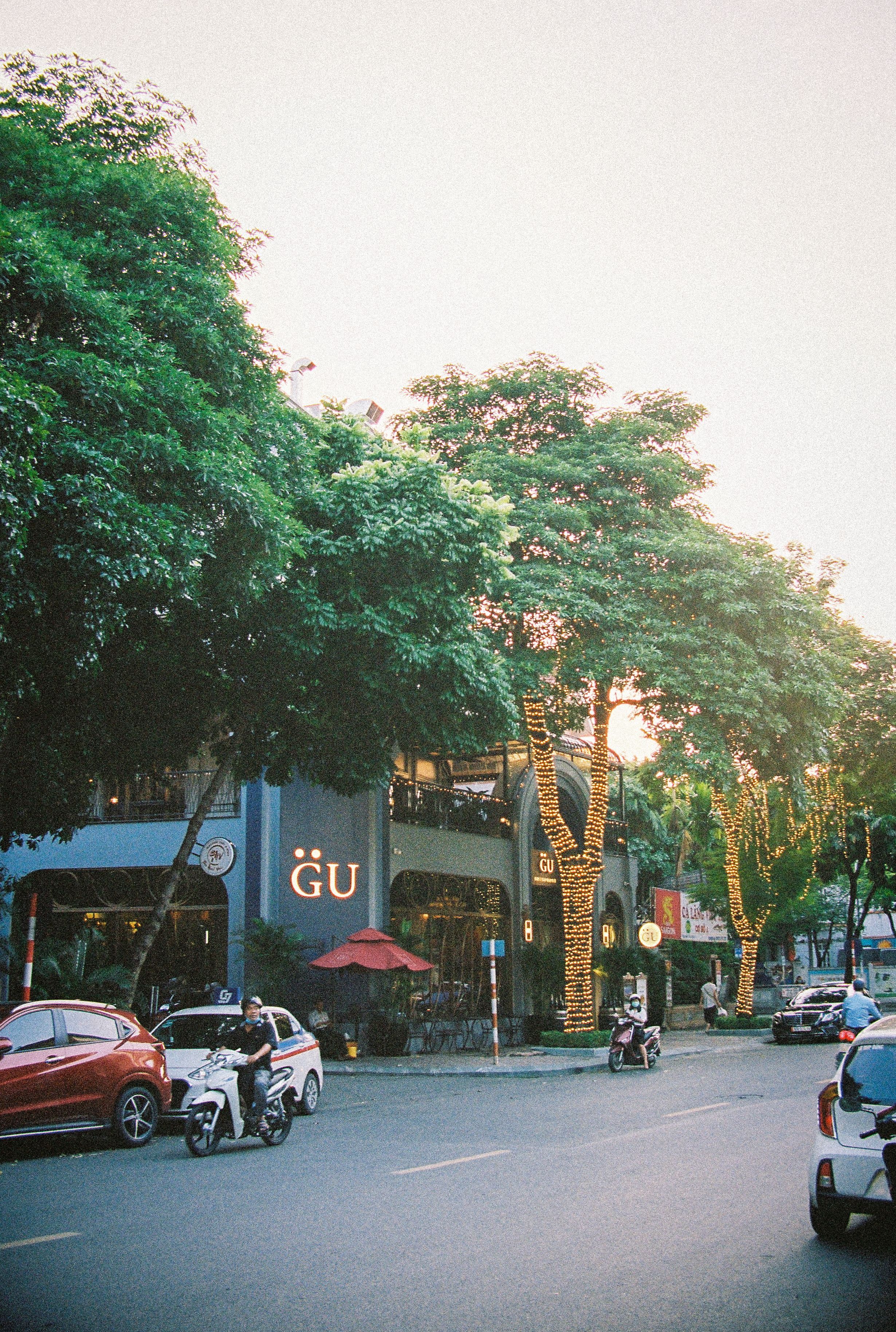 A lively urban street scene at twilight featuring illuminated trees and bustling city activity.