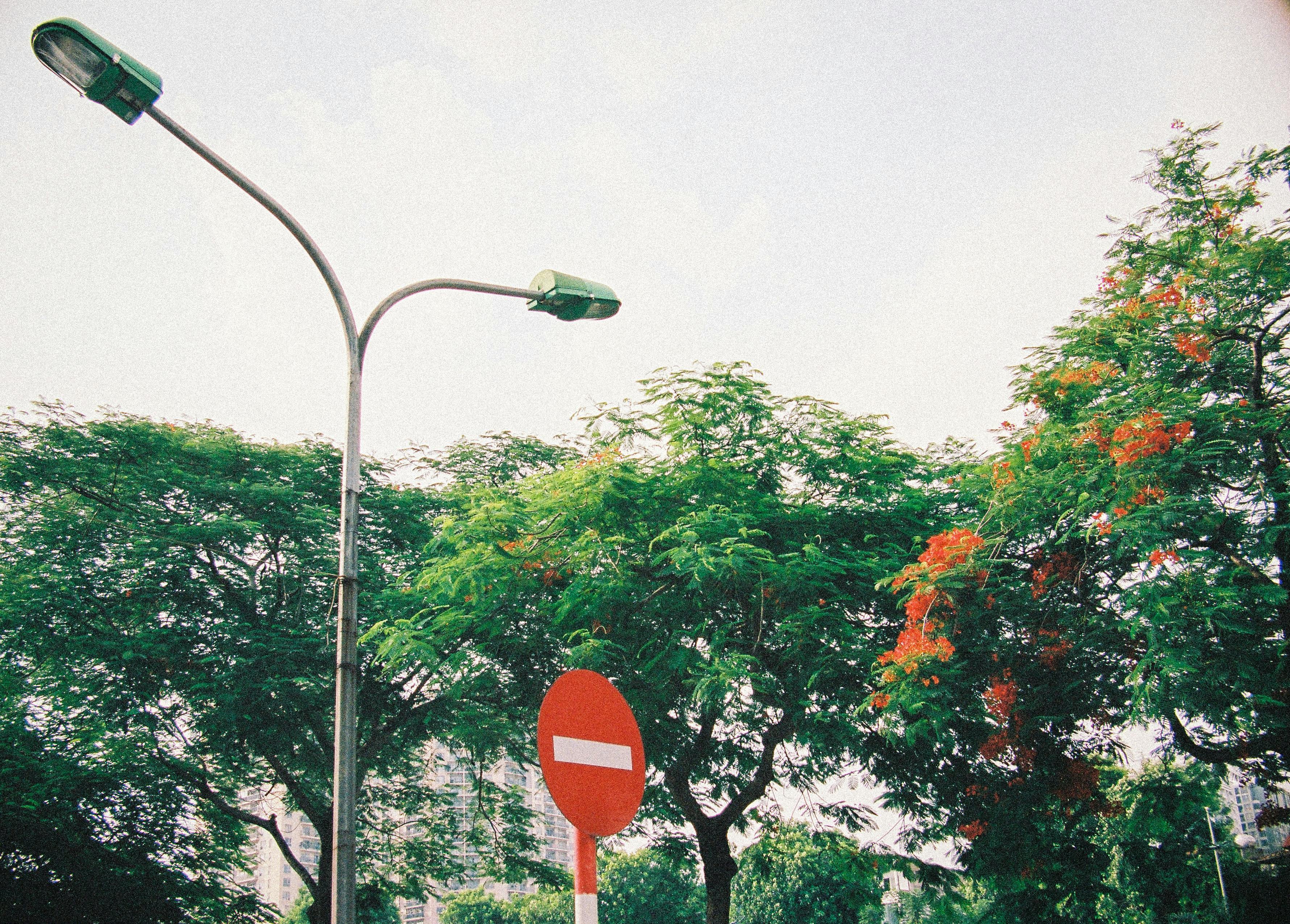 Gratis Foto stok gratis @ luar, alam, alami Foto Stok