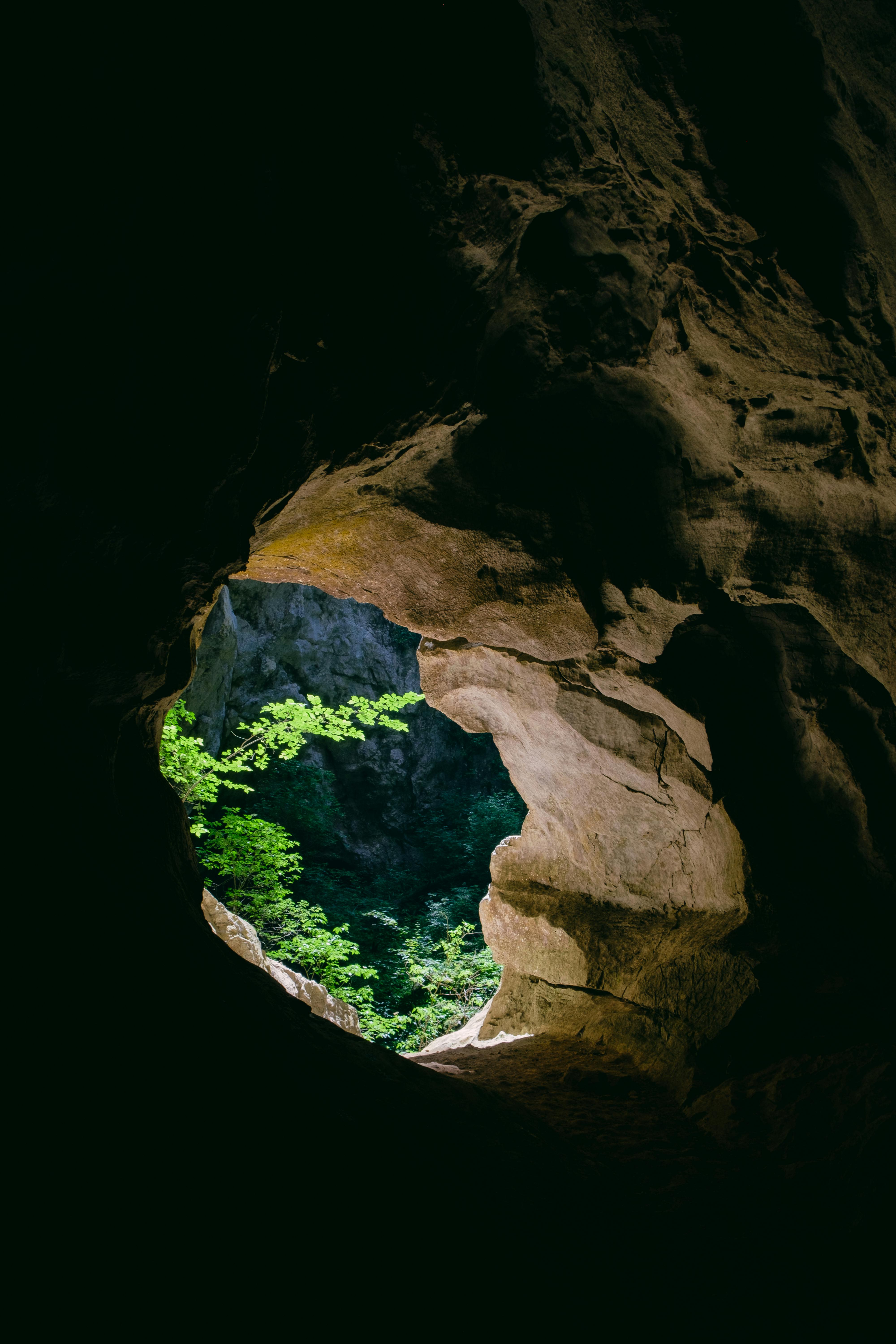 Sunlight illuminates lush greenery through the dark cave entrance