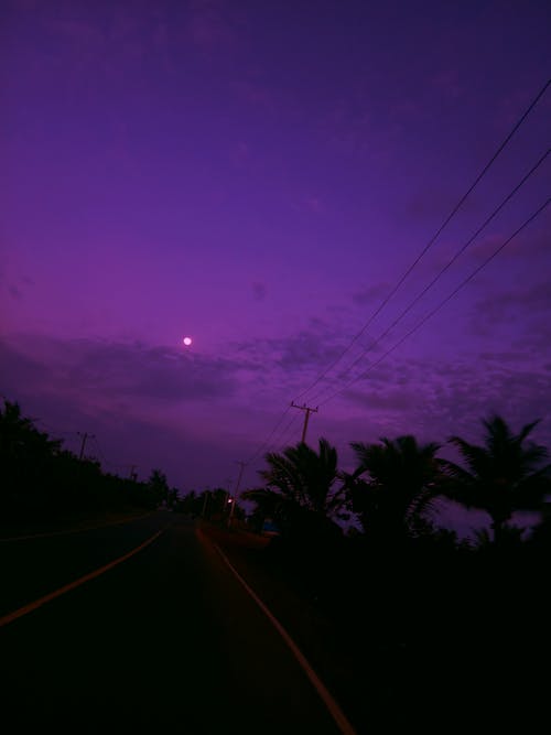 Purple sky