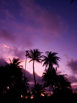 Silhouetted palm trees against a stunning pink and purple sunset sky.