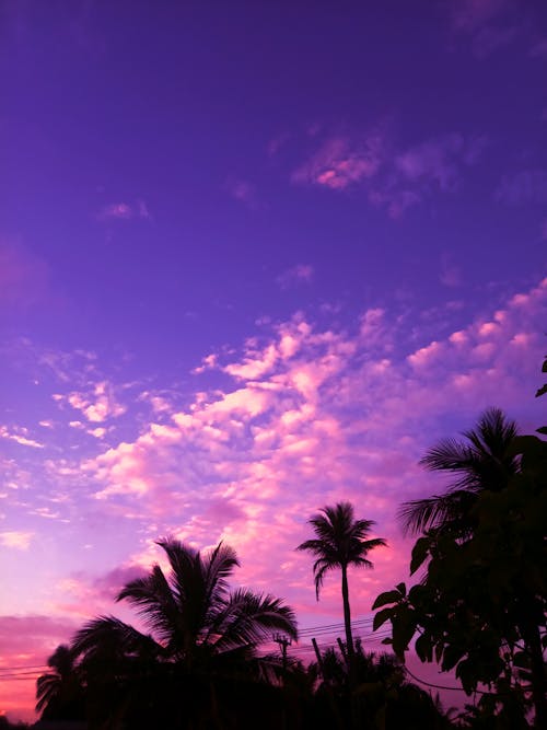 Purple sky