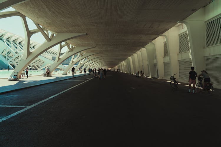 Modern Architecture Of City Of Arts And Sciences In Valencia