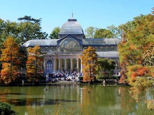 Darmowe zdjęcie z galerii z buen retiro park, drzewa, hiszpania