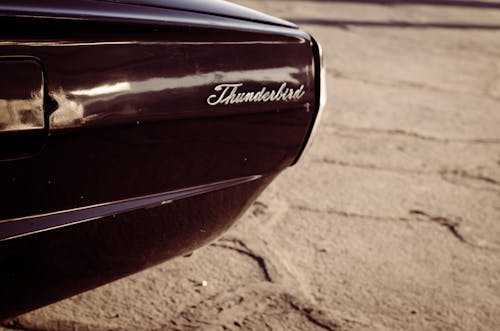 Free stock photo of black car, car, thunderbird