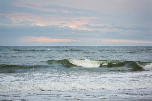 Základová fotografie zdarma na téma horizont, mávání, moře