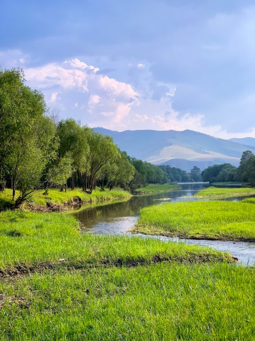 Free A peaceful river winds through lush greenery in Gachuurt, Mongolia, under a sunny summer sky. Stock Photo