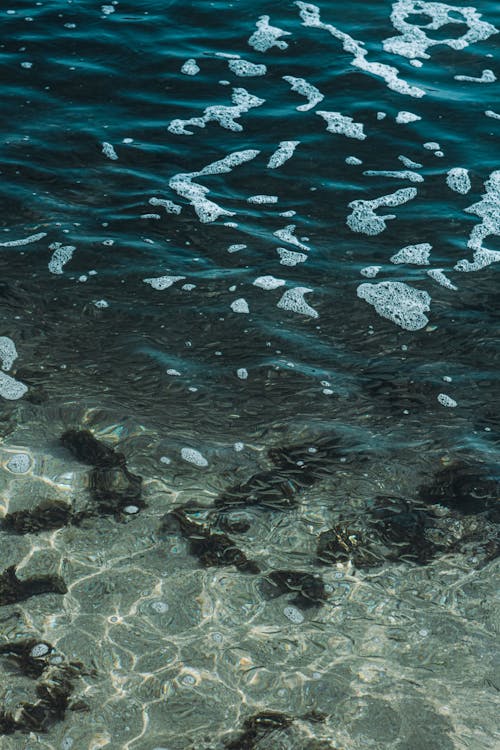 Foto d'estoc gratuïta de escuma, mar, oceà