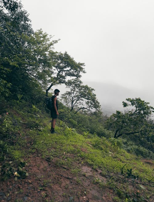 Man on Mountain Slope in Summer