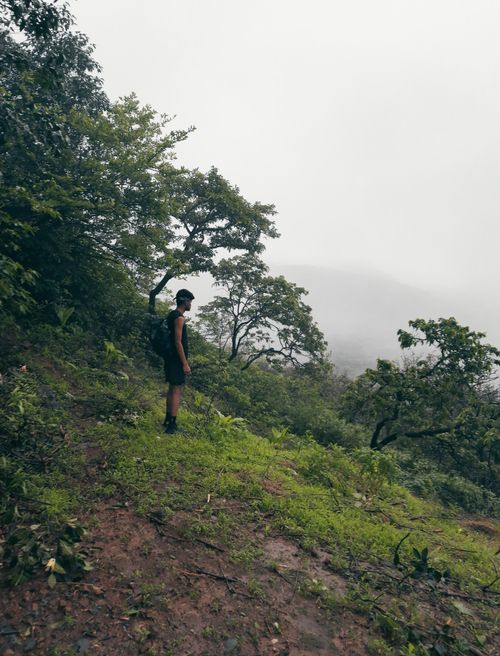 Free A man hiking in the lush, misty mountains surrounded by greenery during summer. Stock Photo