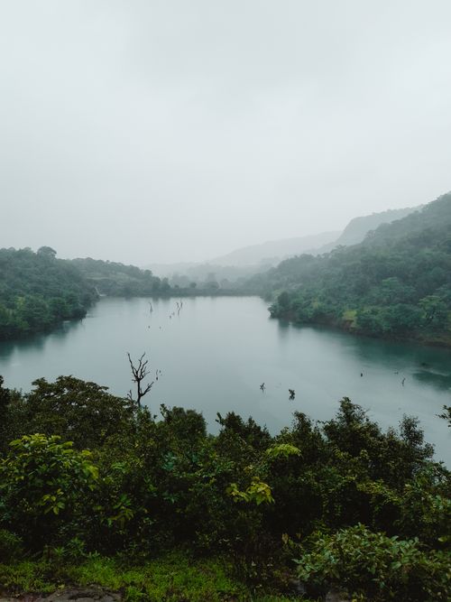 Free A scenic mist-covered lake surrounded by verdant hills and dense shrubs under a cloudy summer sky. Stock Photo