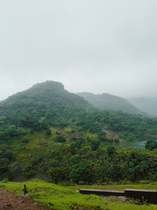 Hills in Summer