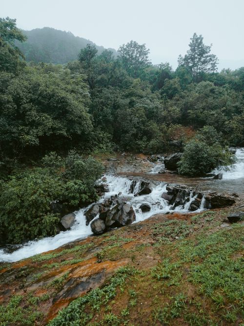 Free A tranquil waterfall cascades through a lush green forest, surrounded by rocks and vibrant vegetation. Stock Photo