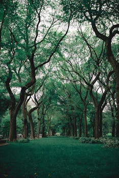 Green Grass Near Trees with the Quote "Wherever you are is the entry point." written on it and have average color value #325042