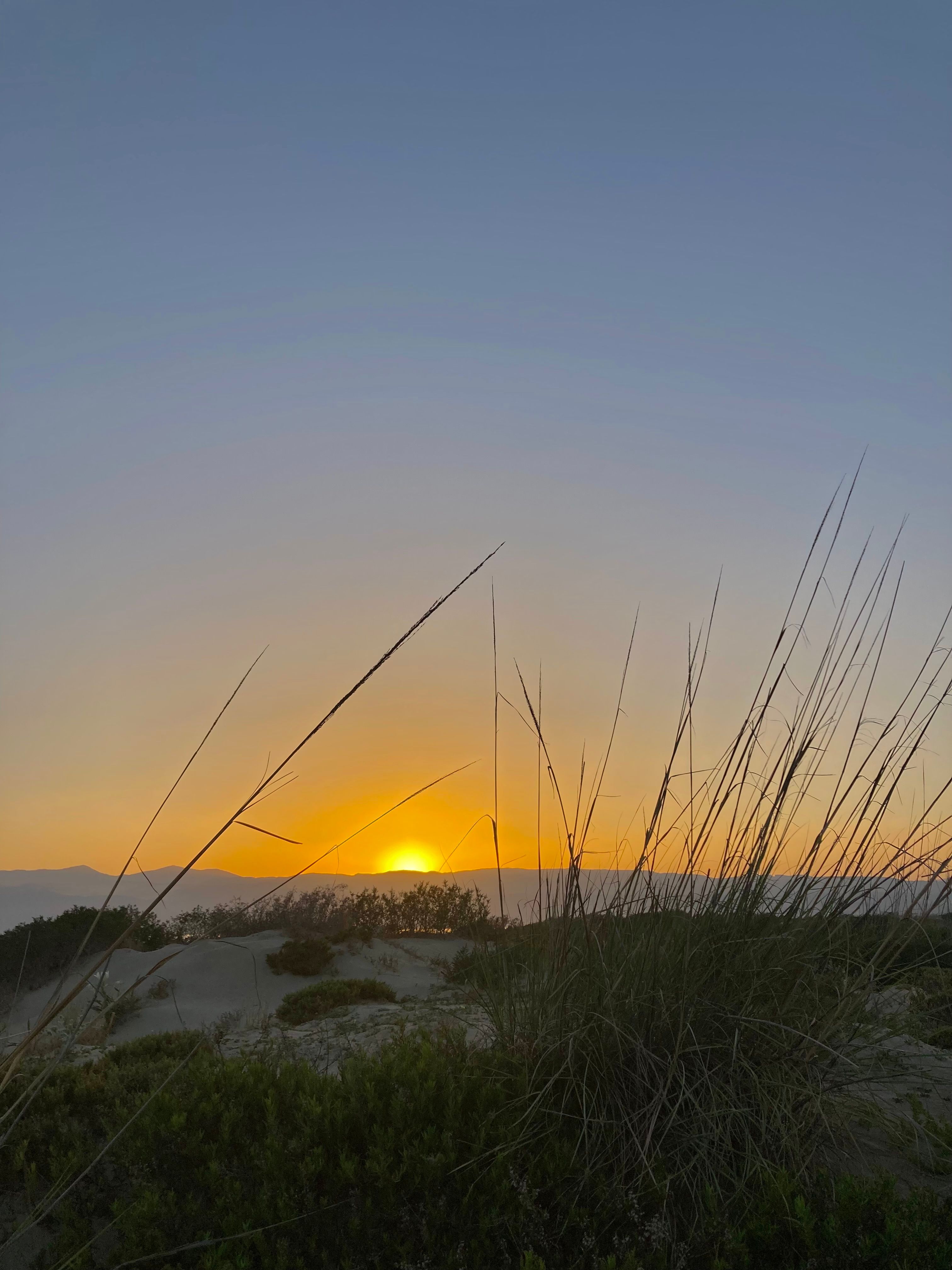 Lever de soleil sur les dunes