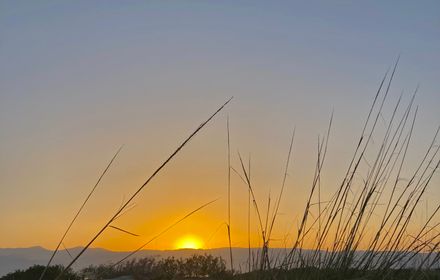 Lever de soleil sur les dunes