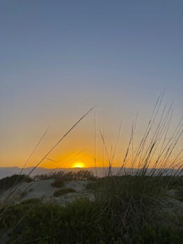 Captivating sunrise over sand dunes with grass in the foreground and clear skies, perfect for travel or nature themes.