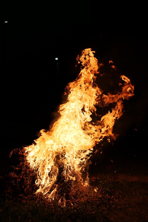 Foto stok gratis api, malam, pembakaran
