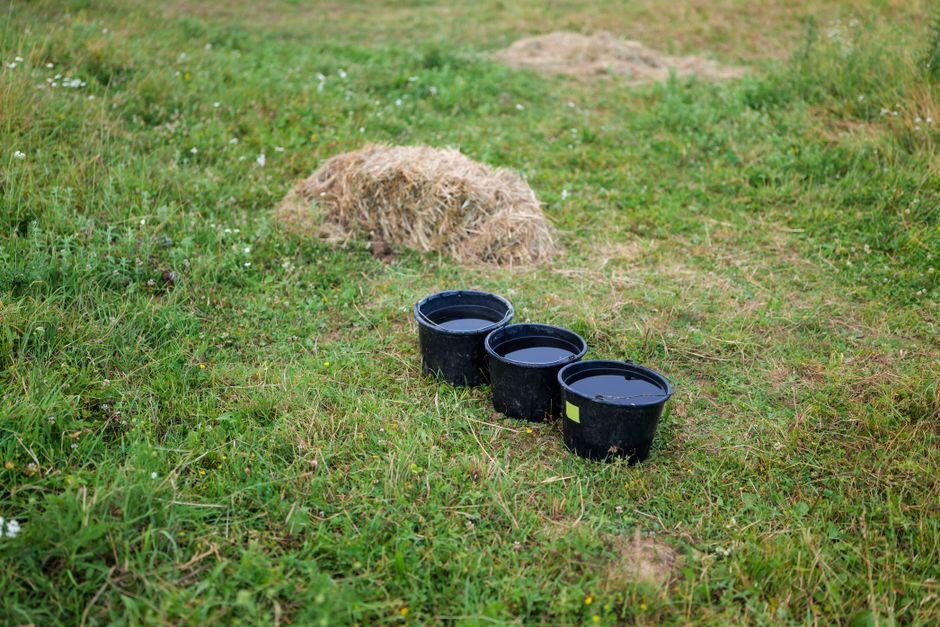 Peaceful meadow scene in Garešnica, Croatia with buckets and hay stack.
