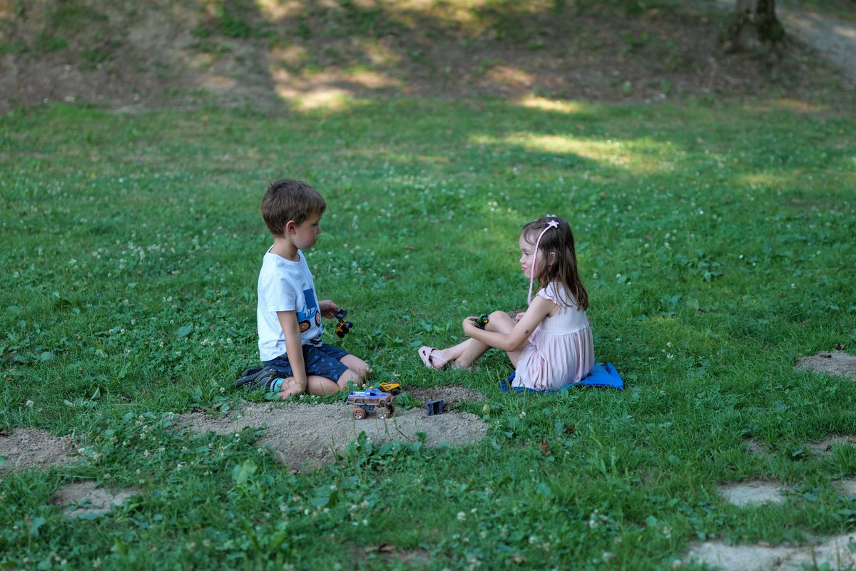 Children playing on a grassy lawn on a sunny day