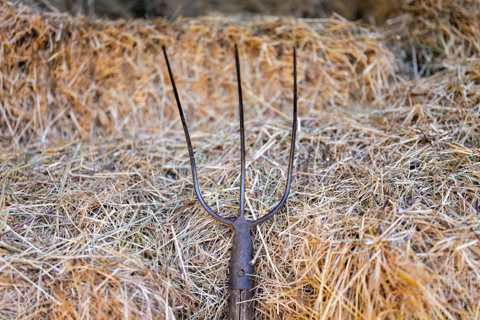 Illustration for Simple farm tools in Farm Tools and Machinery