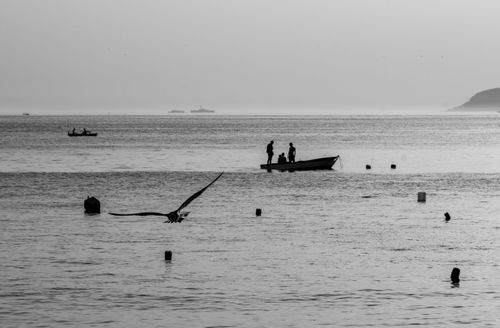 Free A serene black and white seascape in Istanbul featuring boats and a gliding bird. Stock Photo