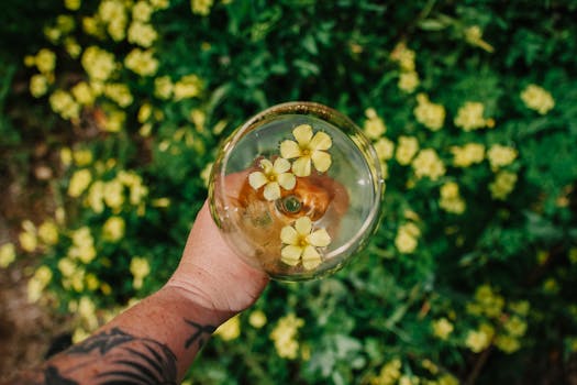 Napa Valley, United States photo 17