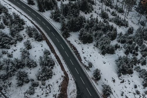 Road in Rural Winter Landscape