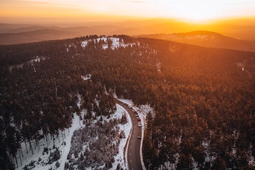 Aerial View of a Coniferous Forest at Winter Sunset
