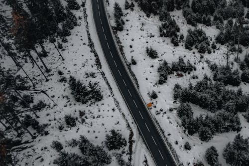 冬季, 分界線, 景觀 的 免費圖庫相片