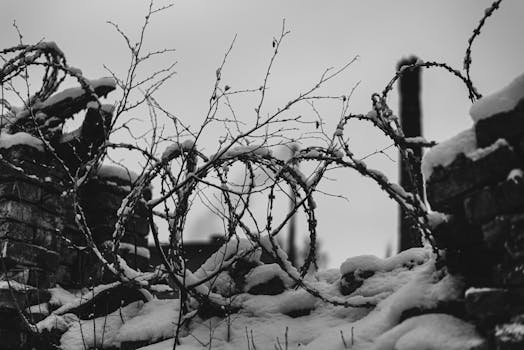 Black and white image of a barbed wire fence covered with snow, evoking a cold and rustic winter feel.