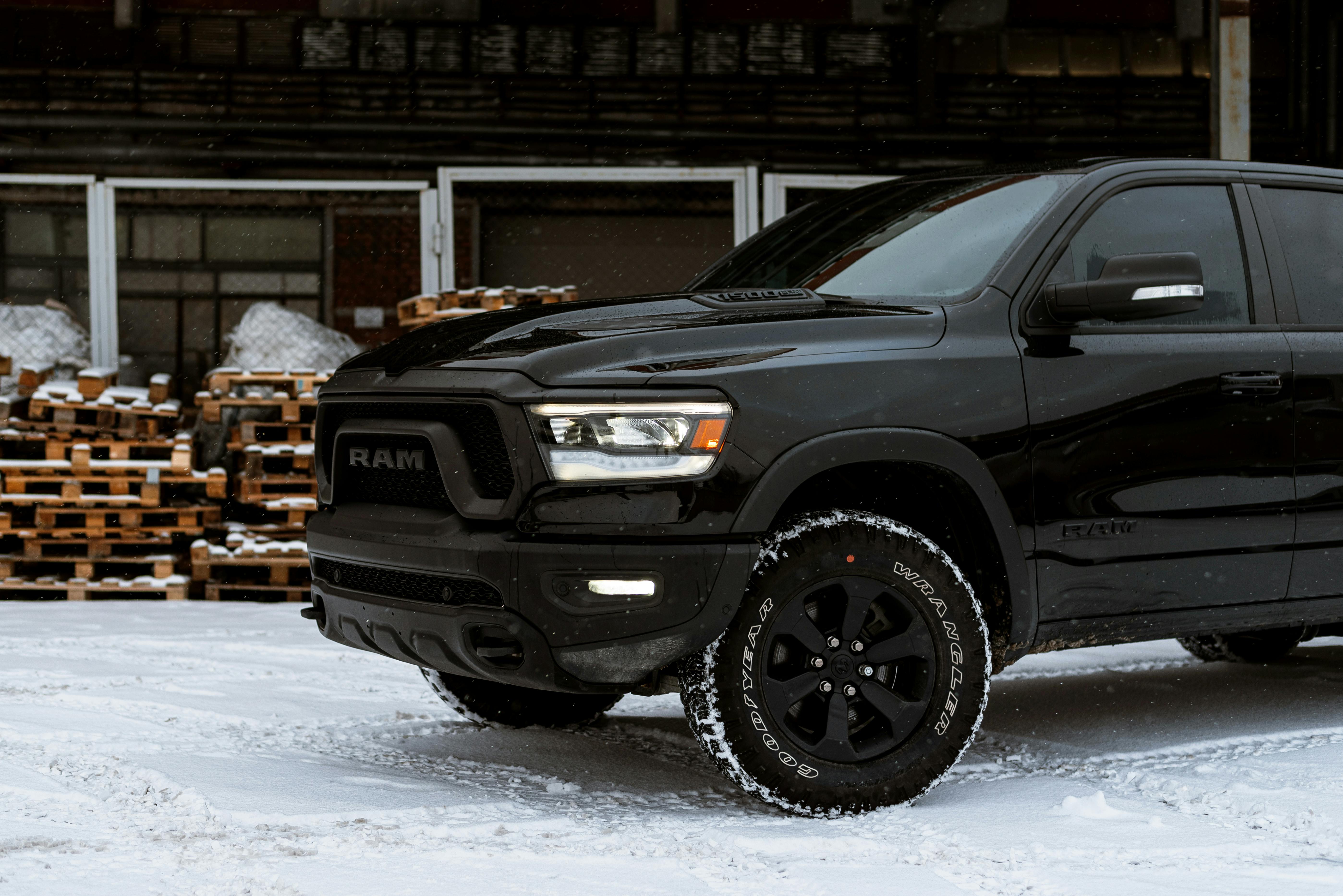 Black Mustang on a Snow · Free Stock Photo