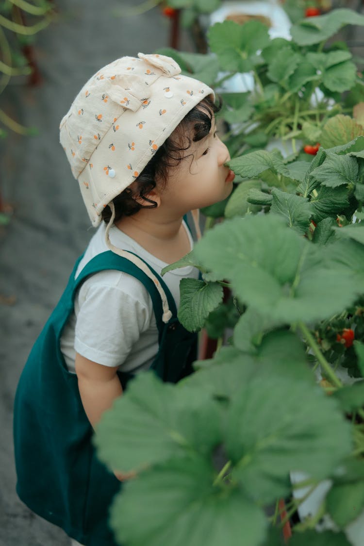 Little Girl In A Green House