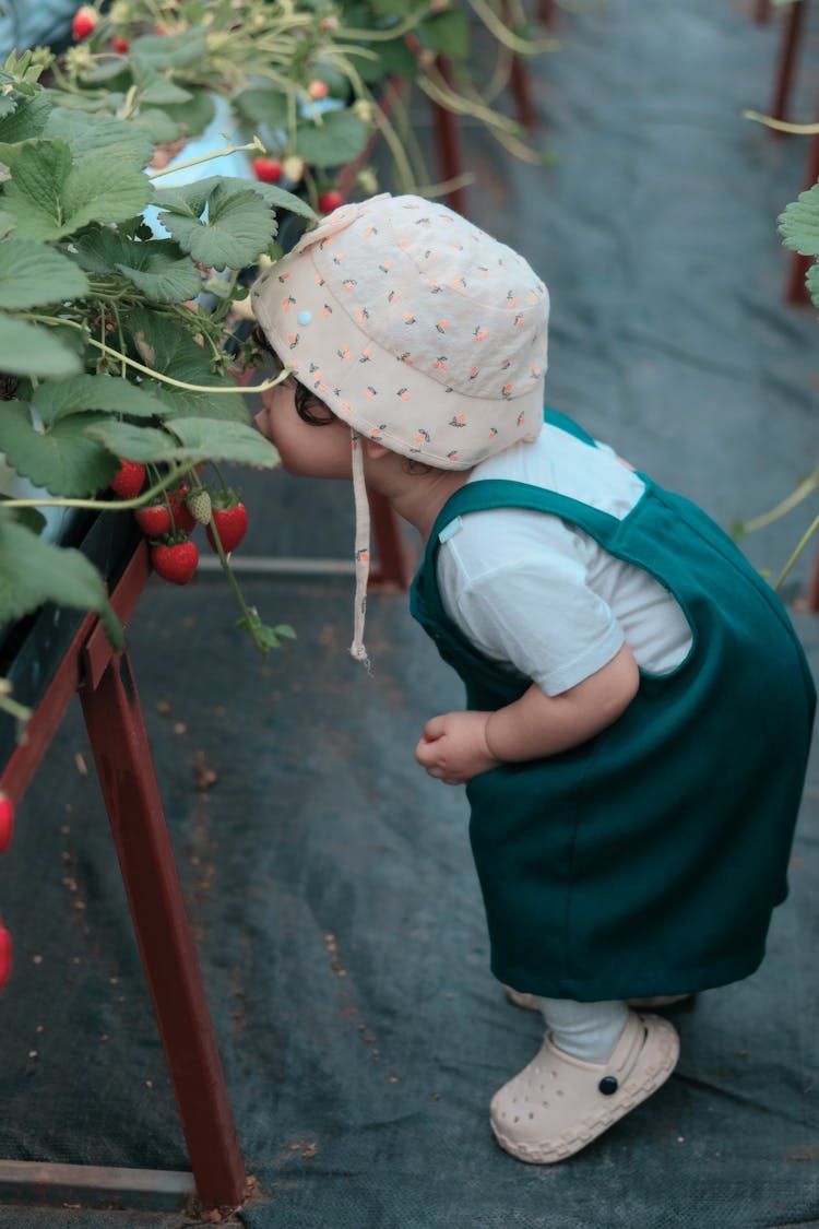 Little Girl In A Green House