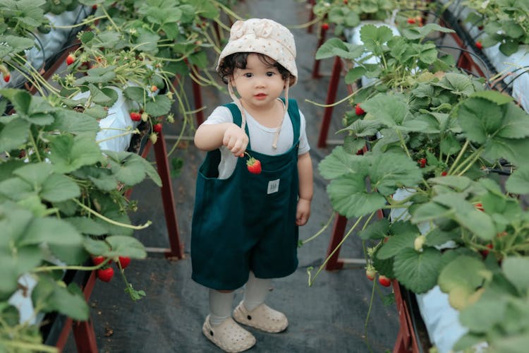 Little Girl In A Green House