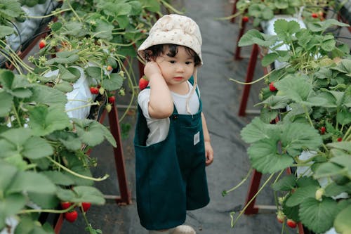 Girl in Greenhouse with Strawberries