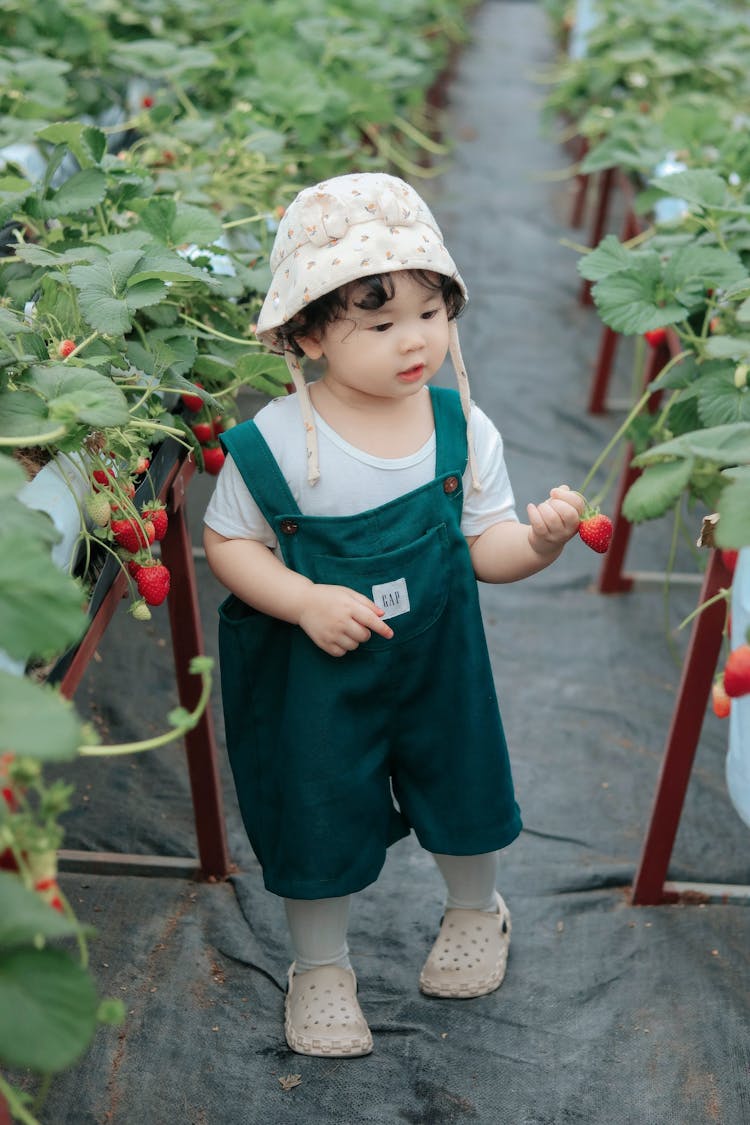 Little Girl In A Green House