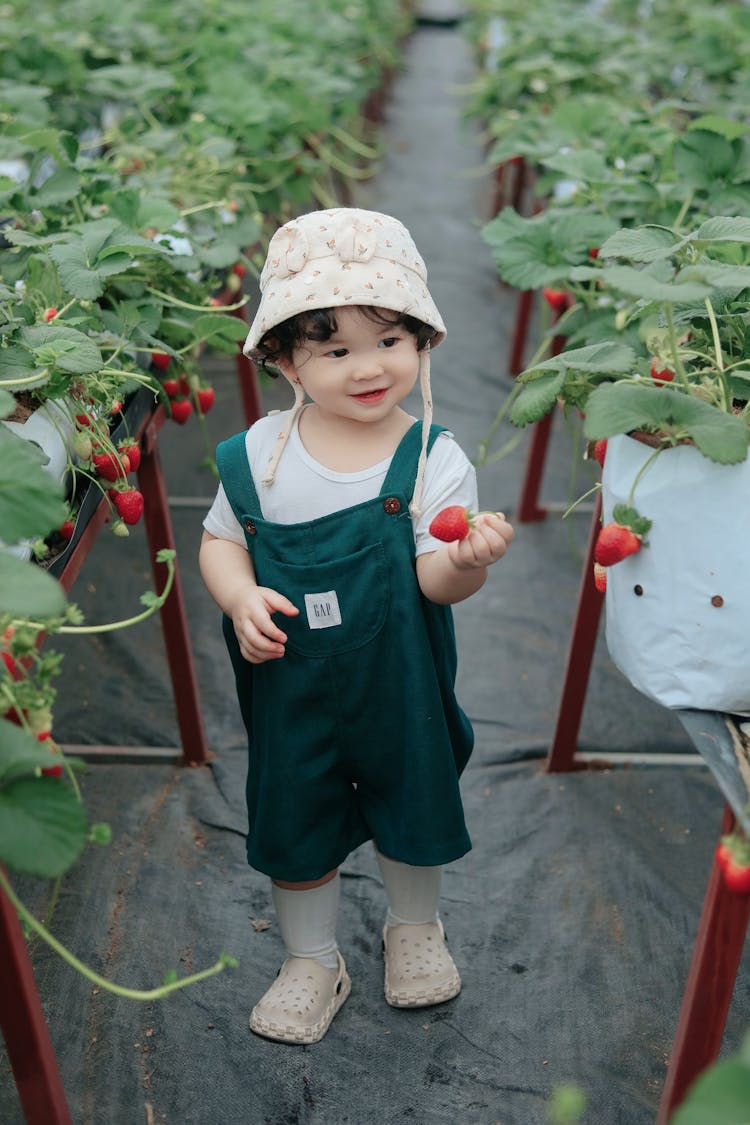 Little Girl In A Green House