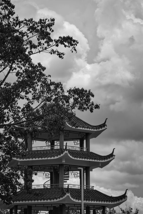 Free A traditional pagoda framed by trees with dramatic clouds overhead in this black and white image. Stock Photo