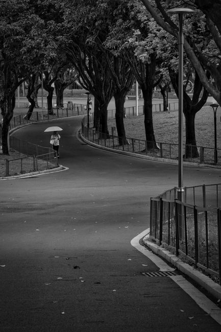 A solitary figure with an umbrella walks on a curving path in a peaceful, tree-lined park.