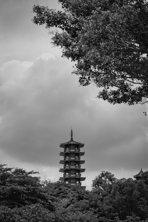 Imagine de stoc gratuită din alb-negru, asiatic, fotografiere verticală