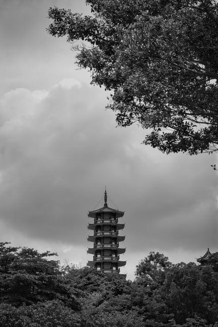 A tranquil view of a pagoda tower surrounded by trees, captured in black and white for a classic touch.