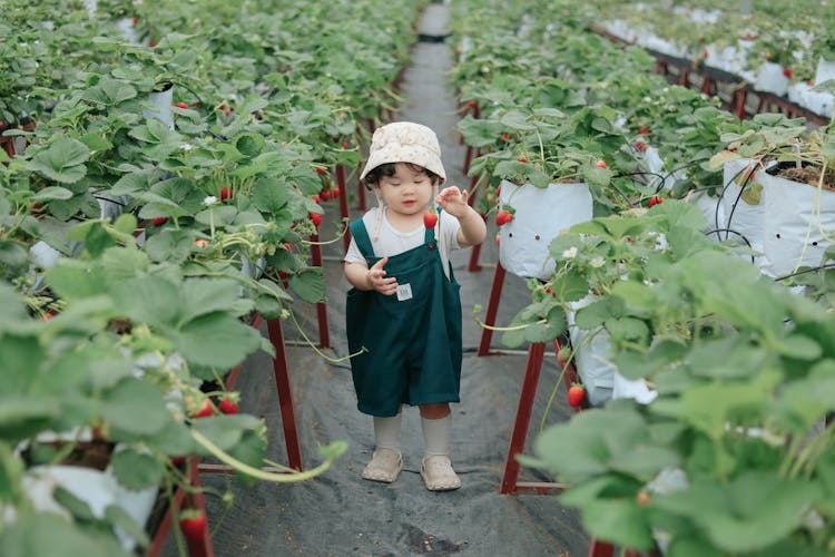 Little Girl In A Green House