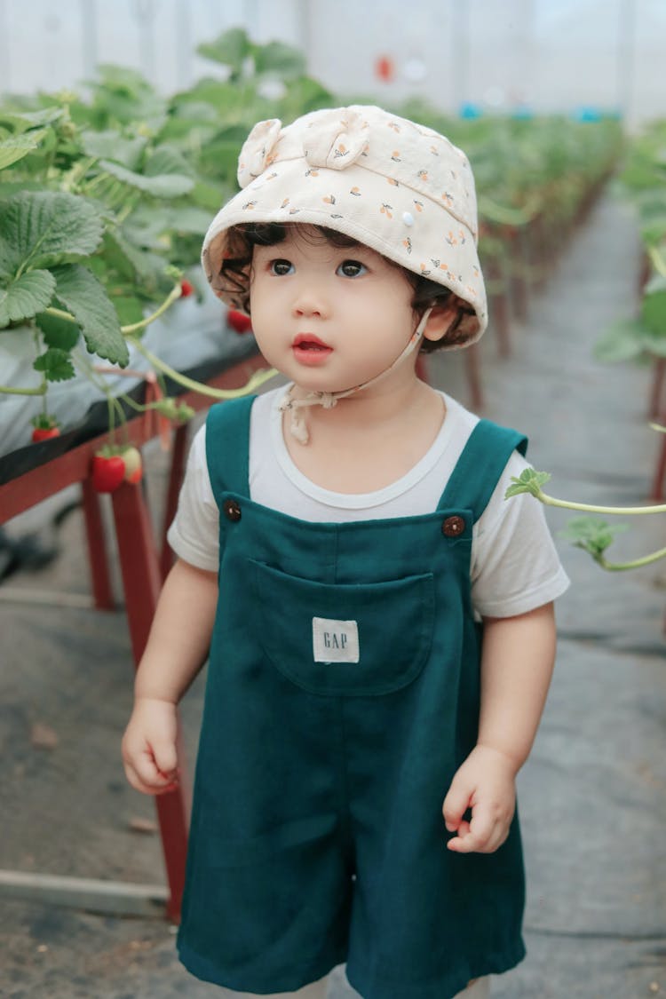 Little Girl In A Green House