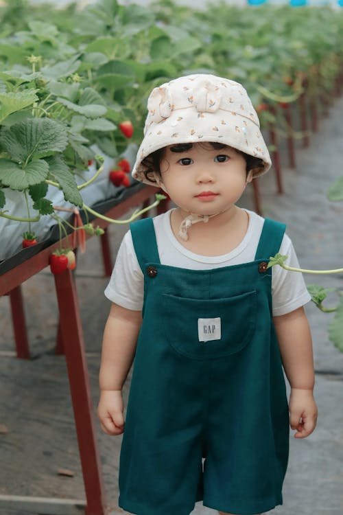 Girl in Hat Standing near Strawberries in Greenhouse