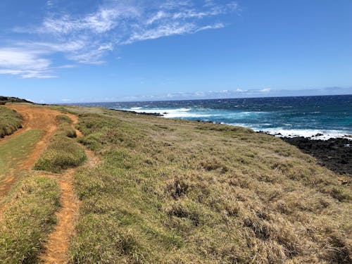 Free stock photo of dirt path, field, hawaii