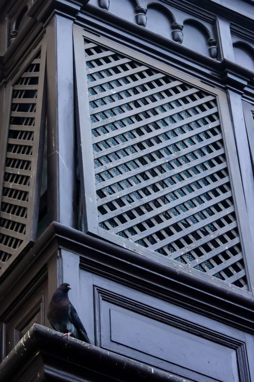 Free Close-up of a traditional lattice balcony with a pigeon in Callao, Lima, Perú. Stock Photo