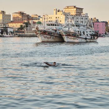 Damietta