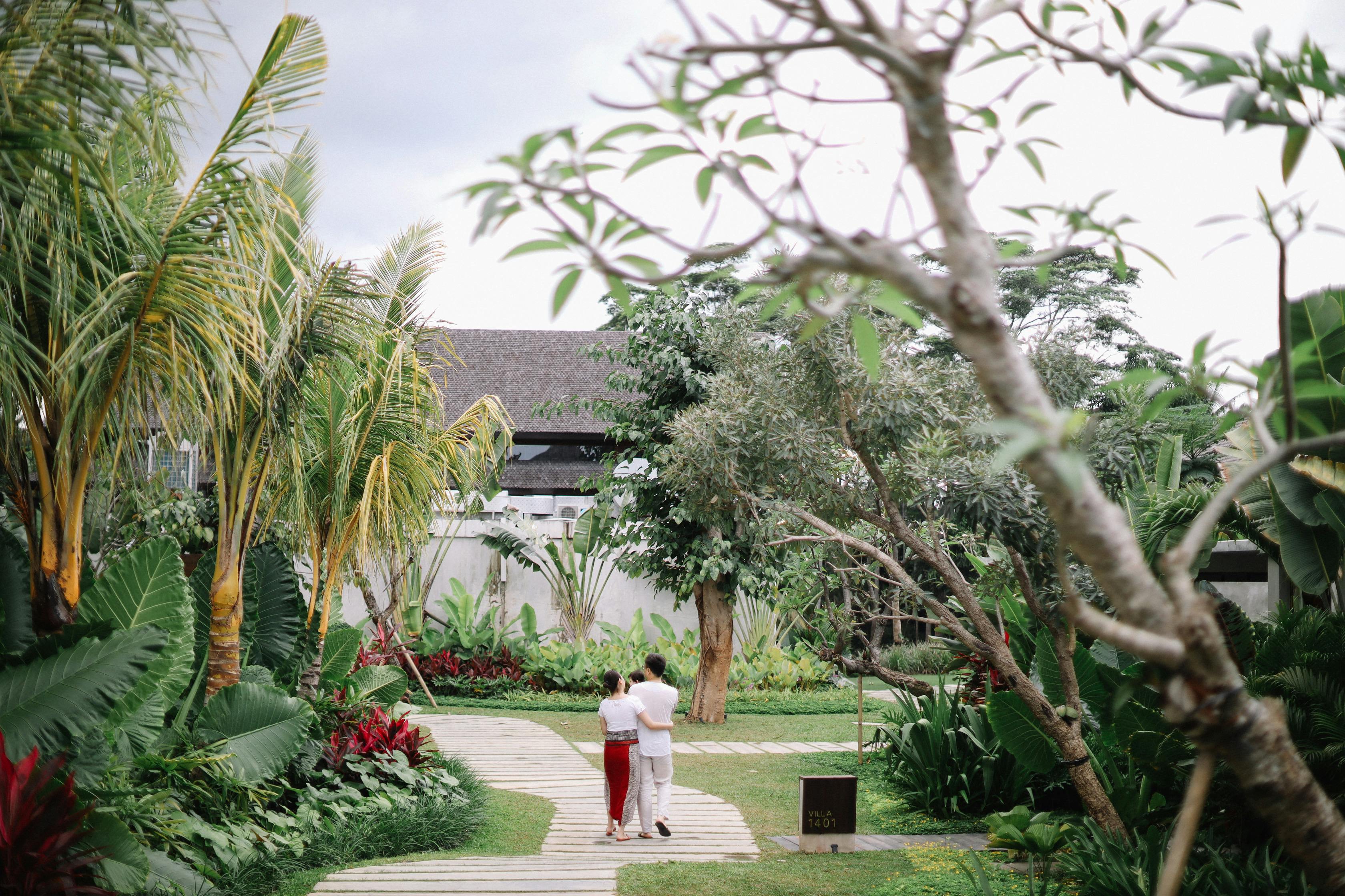 A couple walks hand in hand through a lush tropical garden, showcasing vibrant flora and serene surroundings.