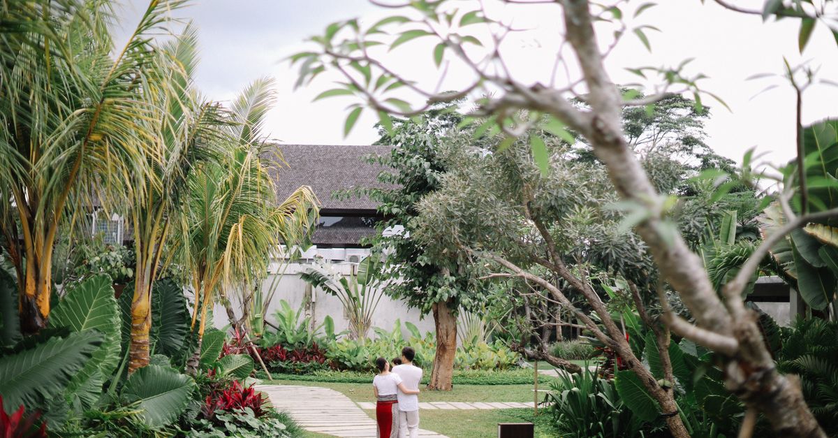 A couple walks hand in hand through a lush tropical garden, showcasing vibrant flora and serene surroundings.